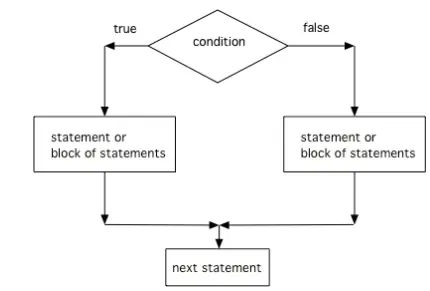 The order that statements execute in a conditional with 2 options: if and else