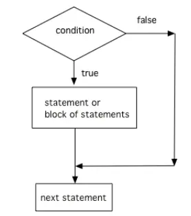 The order that statements execute in a conditional